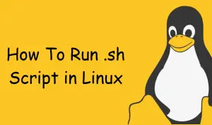 How To Run .sh Script File in Linux - OSETC TECH