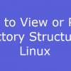 print directory structure tree1