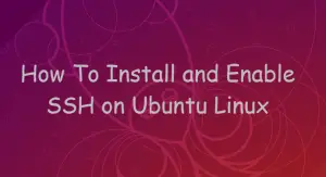 enable ssh ubuntu